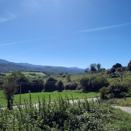 Chez Line Et Pierre: Appartement Spacieux, Lumineux Et Equipe La Bastide-de-Sérou Eksteriør billede