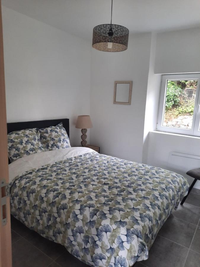Chez Line Et Pierre: Appartement Spacieux, Lumineux Et Equipe La Bastide-de-Sérou Eksteriør billede